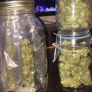 Meet your Posher, Jesse